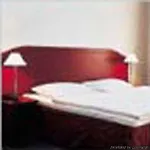 Am Goldenen Strauss Hotel 3*