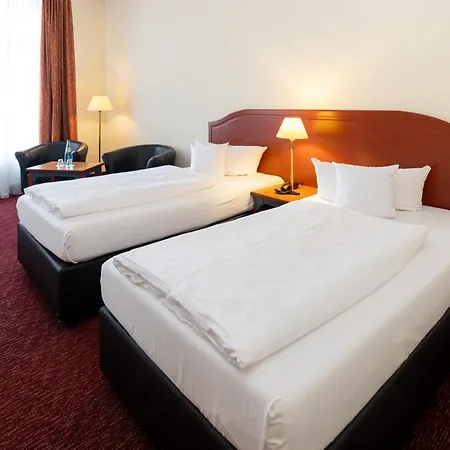 Akzent Am Goldenen Strauss