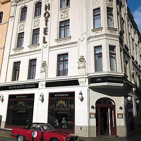 Am Goldenen Strauss Hotell 3*
