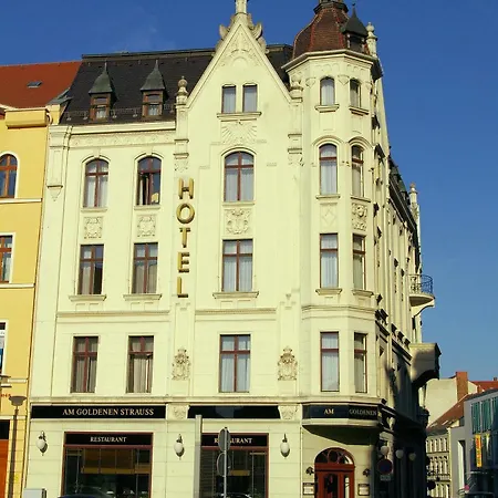 Hotel Akzent Am Goldenen Strauss 3*