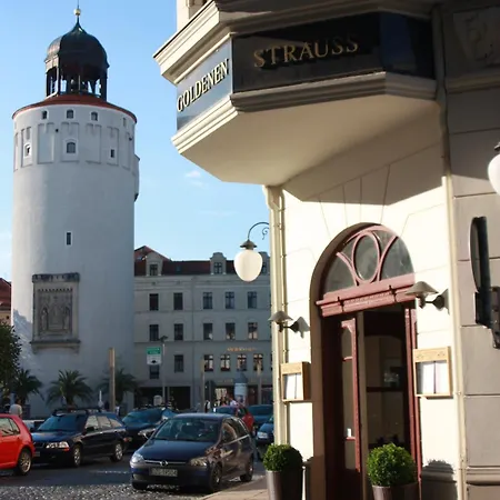 Akzent Am Goldenen Strauss