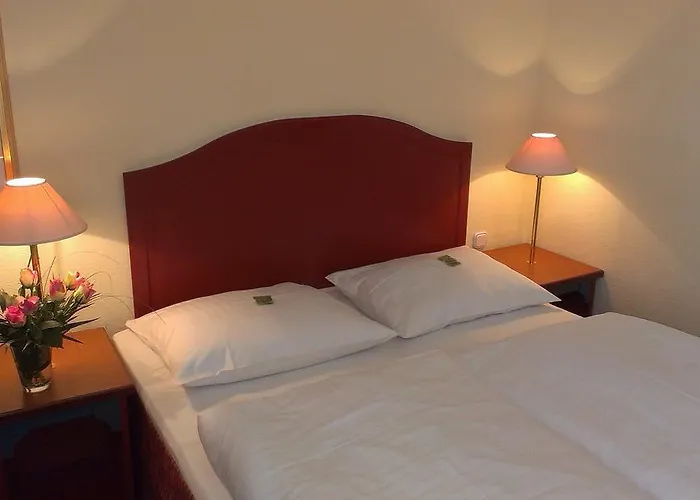 Akzent Am Goldenen Strauss