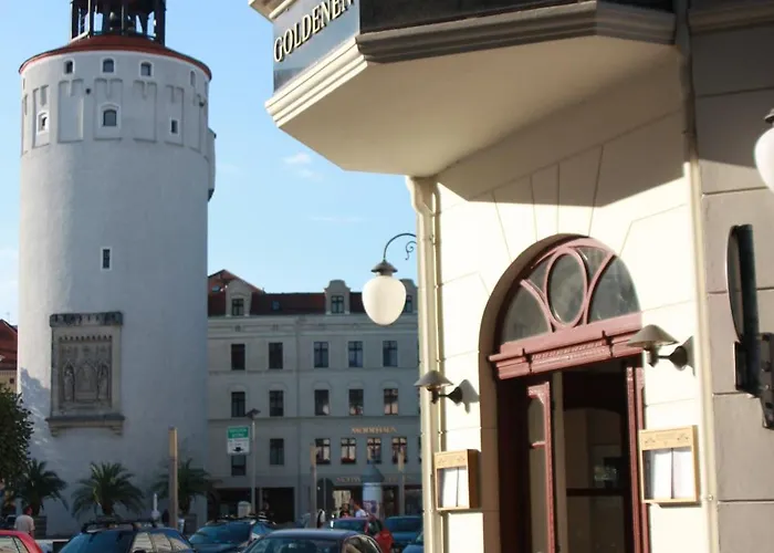 Akzent Am Goldenen Strauss